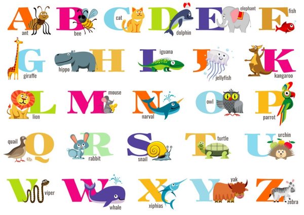 EduExplorer Live