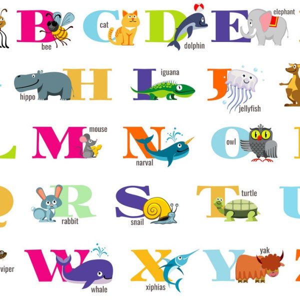 EduExplorer Live